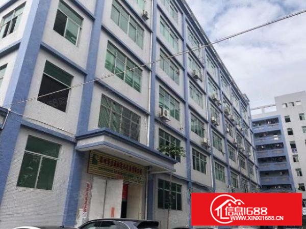 坂田一二楼标准厂房出租，大小可分租