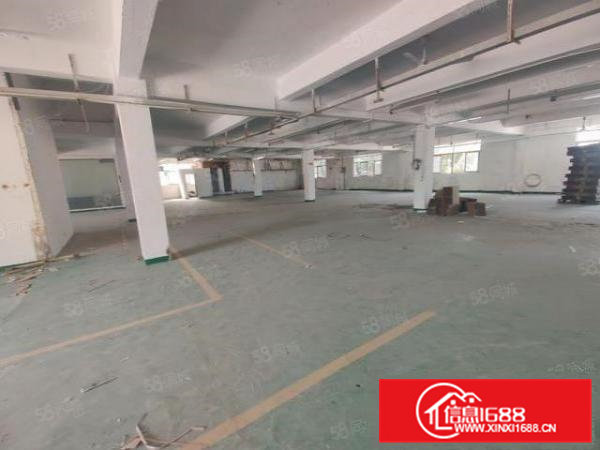 100平起分凤岗金凤凰工业园区全新独院厂房7000平空地超大