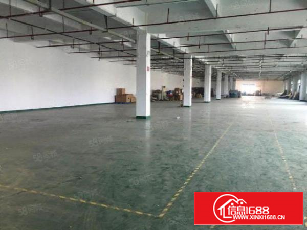 西溪独院厂房3800平招租，现成装修，交通便利！