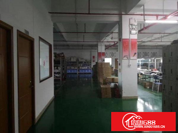 上李朗工业区1100平