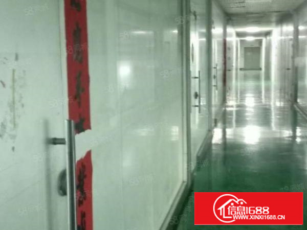 金凤凰电子厂出租现成装修好十万级无尘车间1500平米可分一半