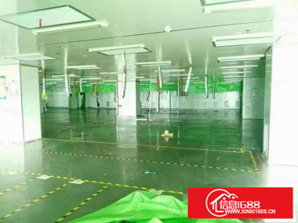 长安沙头三楼无尘车间2000平，13元一平，拎包入住