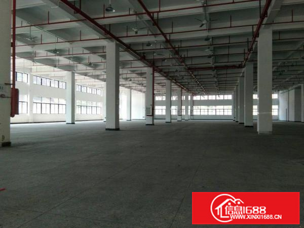 镇隆独院标准厂房有环评带装修10000平原房东招租