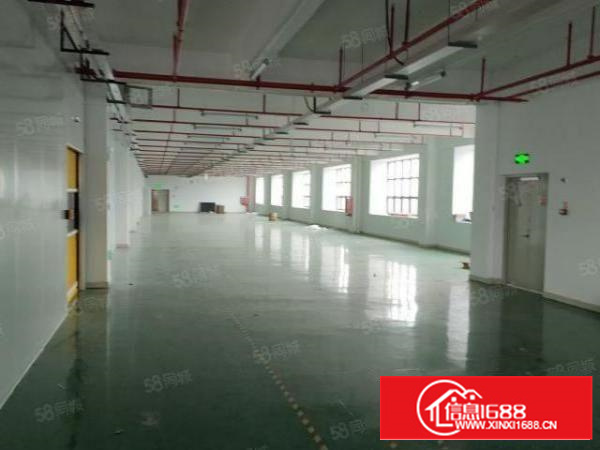 凤岗官井头原房东楼上厂房出租面积1600平带豪华办公室装修