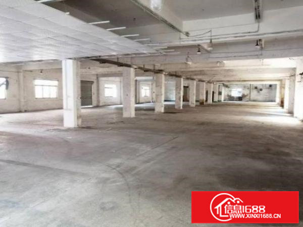 清溪九乡村1200平方厂房仓库出租工业用地可噪音