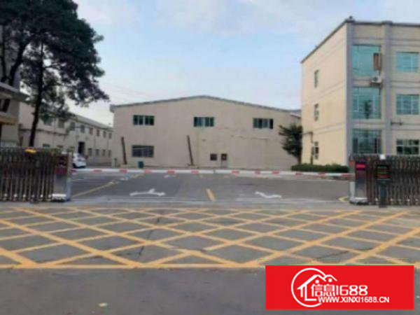 高埗滴水8米分租一楼3000平方，交通便利