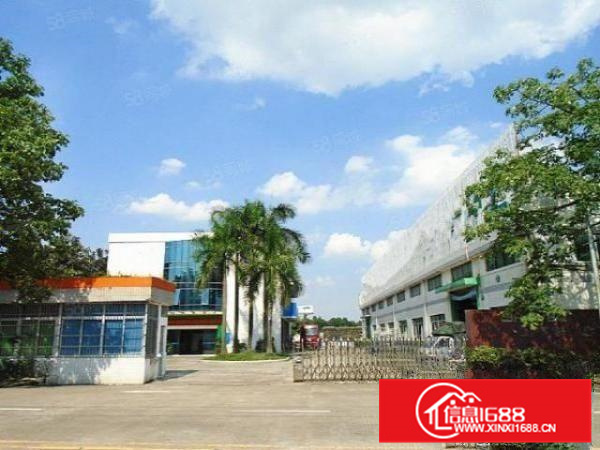 狮山稀有独门独院厂房出租国有证电大空地大形象佳