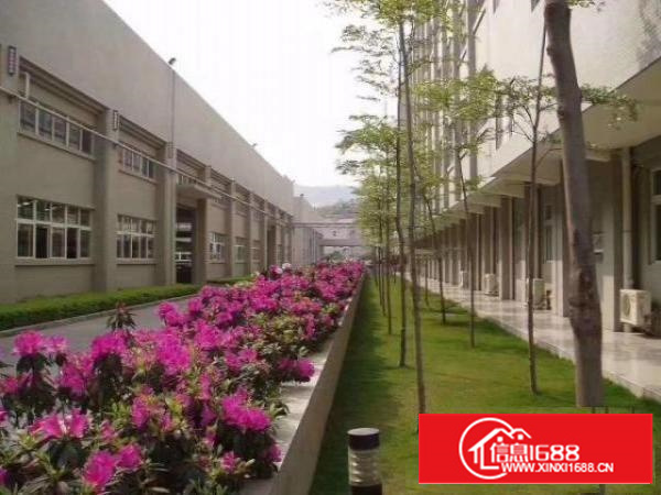 新出稀缺12米高单一层钢构厂房面积24000平方