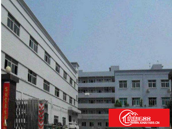 清溪楼上1500平带地坪漆标准厂房火爆招租