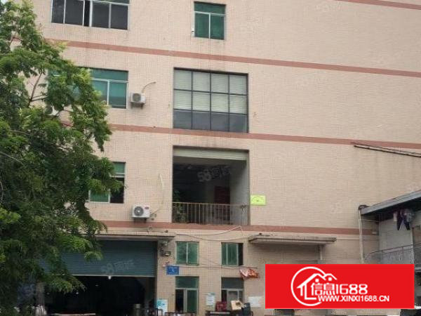 宝安石岩6号线地铁口旁原房东厂房招租整层2000平豪华精装修