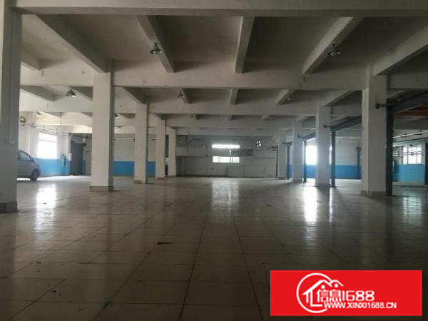 大路边、形象好，顺德大良独院5000方厂房出租