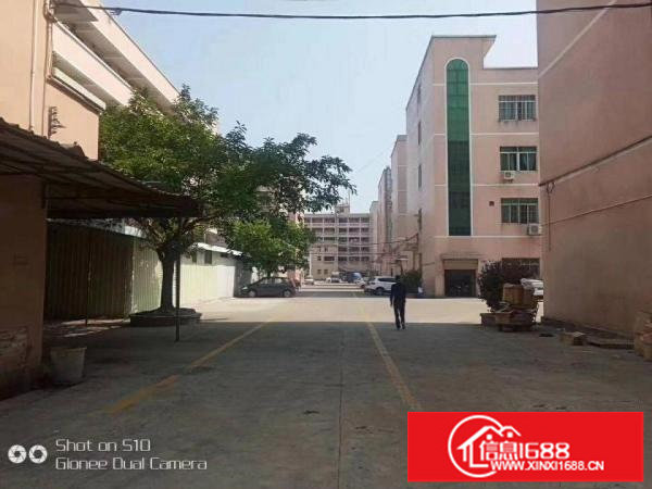 龙岗同乐3900平米独栋原房东厂房出租