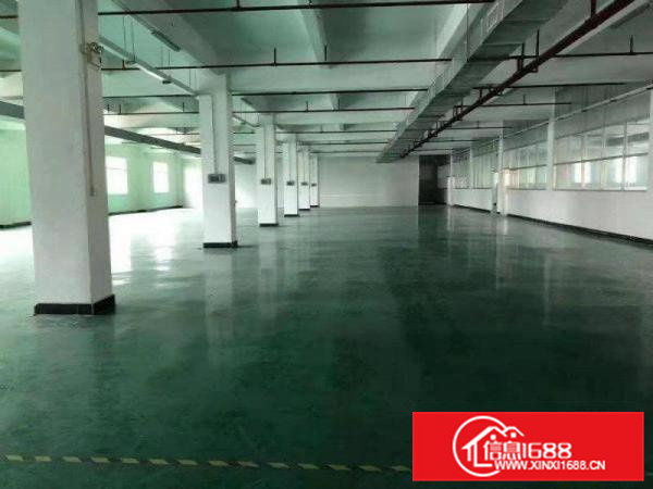 新出原房东独院厂房3200平方，带地坪漆，可办环评，价格便宜