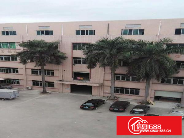 横岗荷坳独院厂房