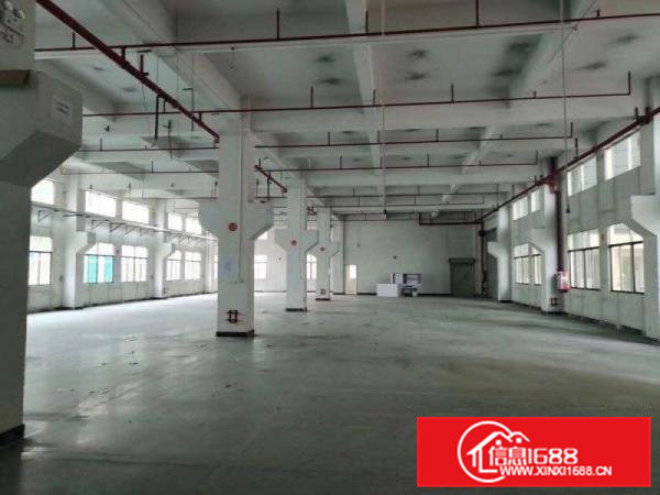 原房东一楼1000方带装修厂房出租价格便宜面积实量