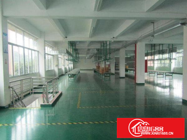 坪山江边村标准厂房楼上980平方带地坪漆