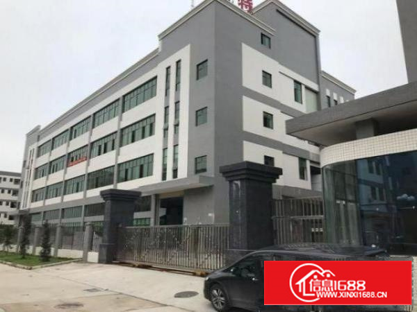 石排原房东好厂房无任何公摊