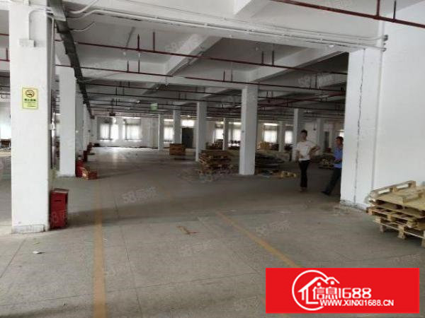 1550平中型面积厂房，无行业限制(除污染行业)大小可分