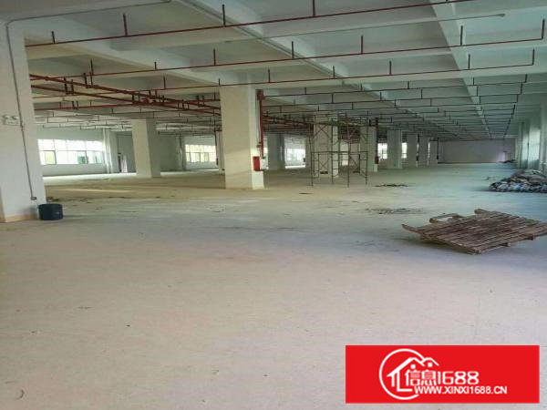 大朗象山工业城原房东可分租楼上三楼1000方13元，带装修