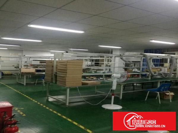 新安宝安71区办公室生产车间出租200-300平米