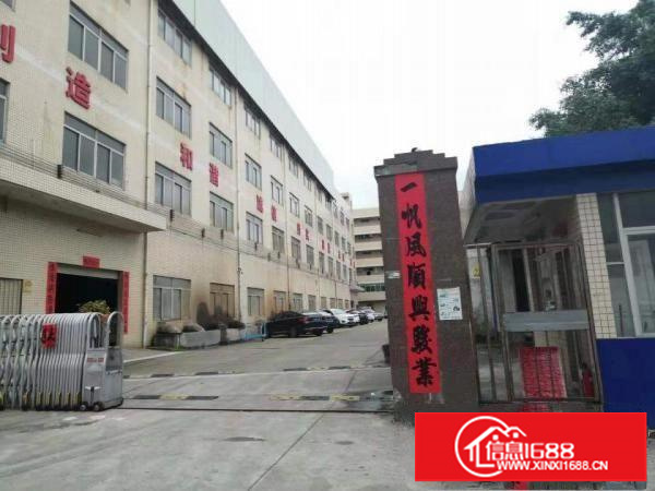 龙岗新出超靓带装修独院独栋厂房共计面积5万平方厂房急租