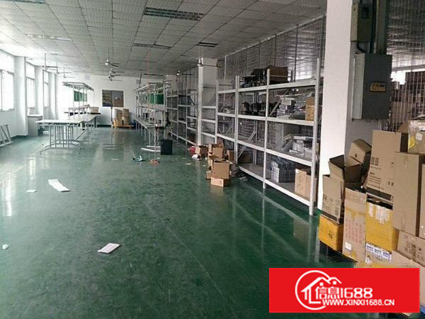 龙岗龙东新出带电梯二楼1200平整层招租(有装修)