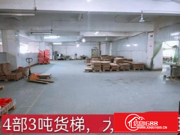 业主直租寮步新出厂房4台3吨货梯工业用地消防合格分租