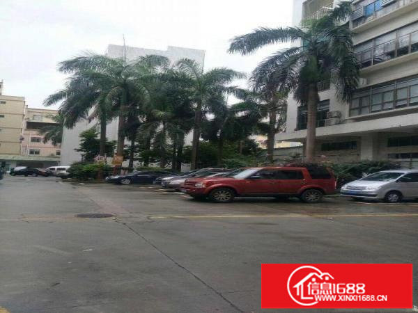 丹竹头地铁站旁立信路91号160平带装修厂房业主直租