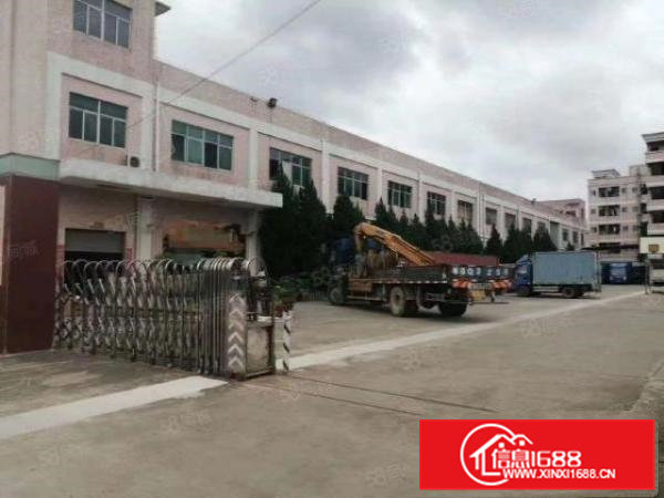 桥头镇原房东独院厂房3650平方，适合生产家具，玩具，电子