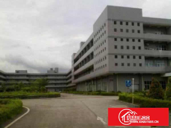 高埗新空出标准一楼900平米厂房出租