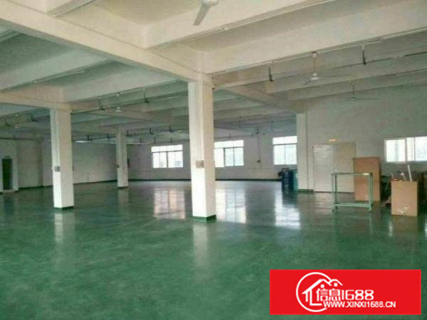 常平卢屋工业区二楼精装修厂房950平米出租空地大