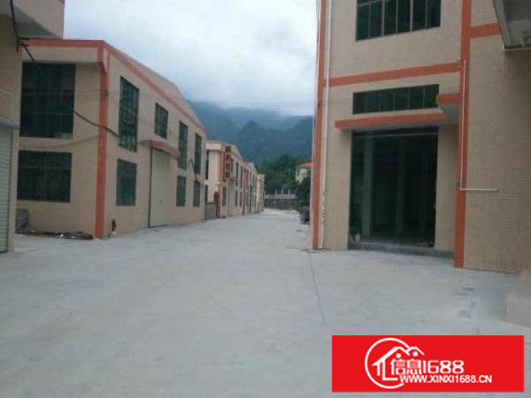 原房东一栋1800平米8米高钢构3栋出租;可分租