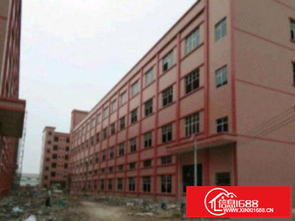 高埗新出楼上1200平米无尘车间厂房出租