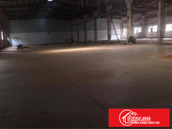 惠阳大亚湾高大上钢构厂房低价出租，带红本