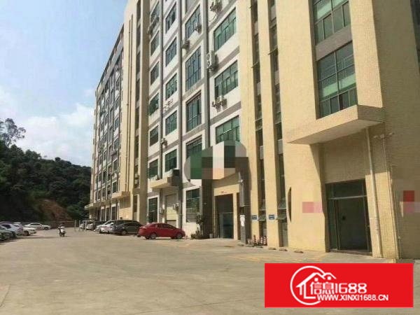 石岩洲石路石头山带精装修900平方厂房