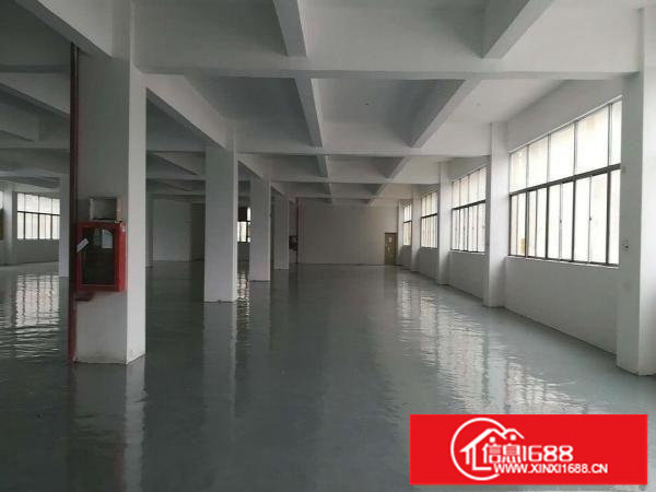 丹竹头地铁站旁100-800平厂房仓库招租