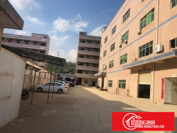 茶山原房东带牛角独院标准厂房，带消防喷淋，现成水电，拎包入住