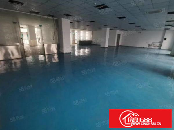 大工业区带精装办公室厂房1000平出租可分租100平起