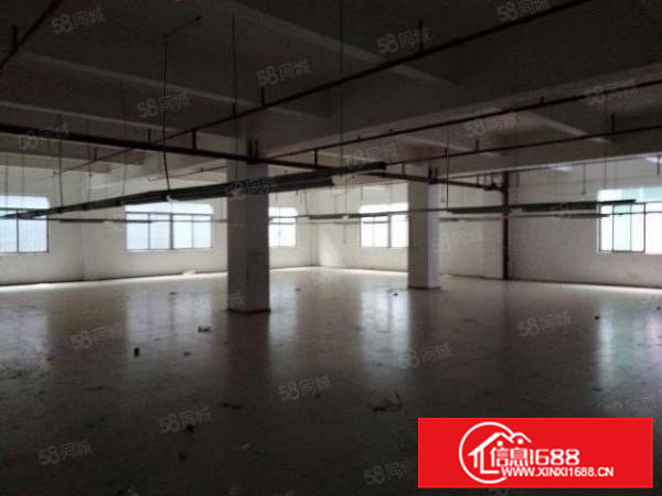 新出村委工业园厂房，可办环评，喷淋消防，可整租可分租