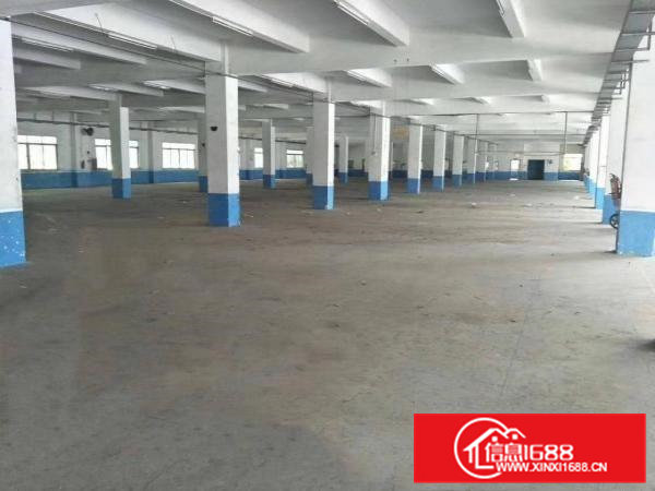 大利工业园新出1楼1000平标准厂房出租