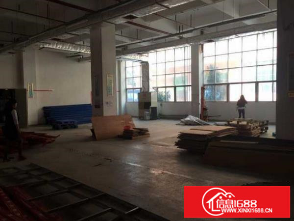 平湖新木村新标准厂房一楼920平带隔楼办公室装修