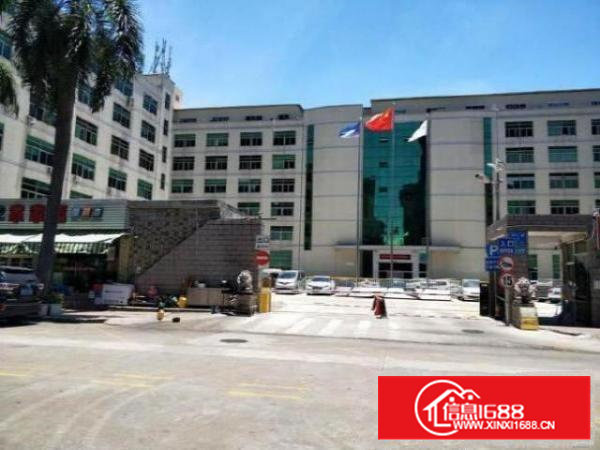 西乡鹤洲新出楼上800平带装修