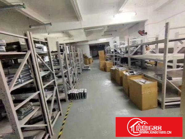 观澜桂花新出原房东小面积厂房650平方,带3间办公室装修