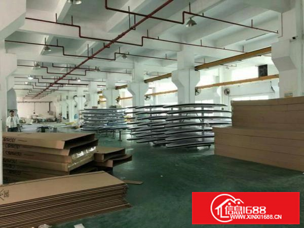 惠阳秋长标准一楼6.5米高2600平米业主急租