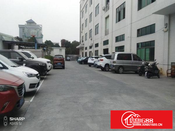 清溪打包价4万左右标准厂房