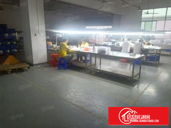 凤岗金凤凰工业园带精装修厂房楼上1200平方适合电子