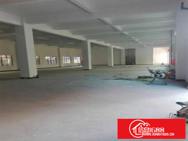 出租布吉百鸽笼1楼厂房800平方现成水电