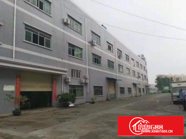 石排向西村标准厂房分租一楼1100平方