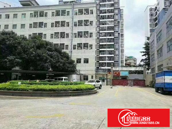 房东招租！龙华清湖地铁站附近仓库5200平