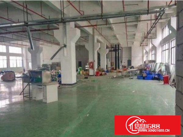 坪山新和楼上标准厂房带电梯600平方原房东招租